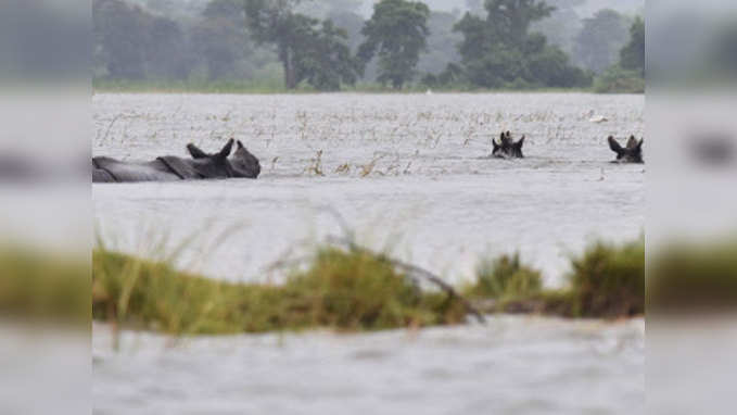 Assam floods: 44 killed, 17 lakh affected 