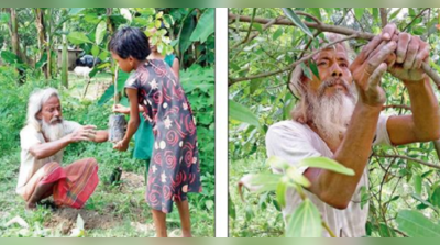 নিভৃতে সবুজায়নে ব্রতী যুগীপুকুরের গাছপাগলা