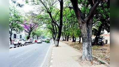 ಒಡೆಯರ್‌ ಕುಟುಂಬಕ್ಕೆ ಟಿಡಿಆರ್‌ ತೊಡಕು