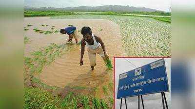 Farmers sow last crop on site of Navi Mumbai airport 