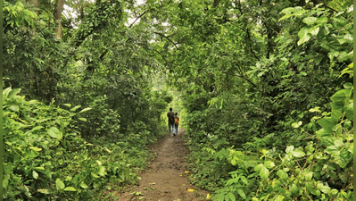 কলকাতার জঙ্গল