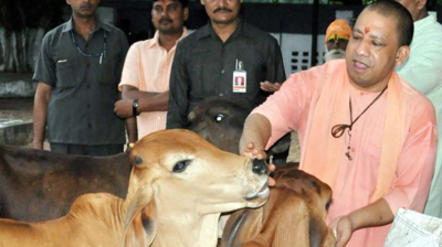 ডিজনিল্যান্ডের ধাঁচে এবার যোগী রাজ্যে কৃষ্ণল্যান্ড