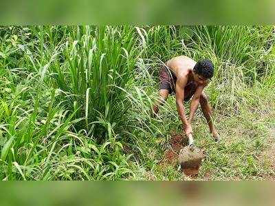 இட ஒதுக்கீடு பிரச்னையால் படிப்பை இழந்த மாணவன் : விவசாயத்துக்கு திரும்பியவரின் சாடல்