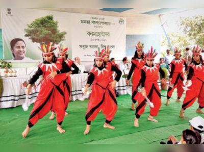 গাছ বাড়াতে বীজের বল, দত্তকের ভাবনা