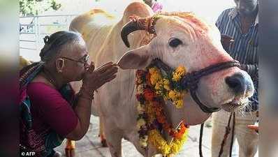 ‘গোরক্ষক’ প্রশ্নে মোদীকে আক্রমণ