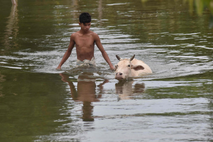 ಅಸ್ಸಾಂ ಪ್ರವಾಹದ ಭೀಕರ ದೃಶ್ಯಗಳು