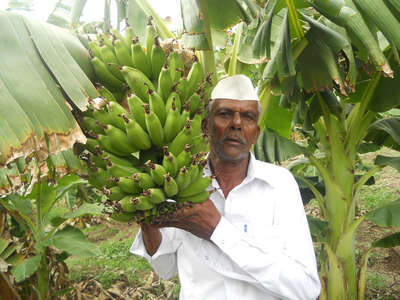 ಸಾವಯವ ಸಾರ್ಥಕತೆ