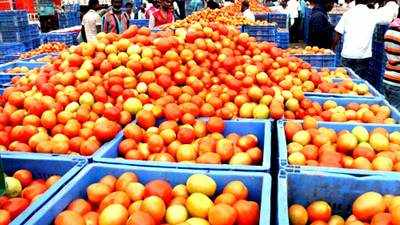 Tomato prices soar to Rs 100/kg in Delhi-NCR, Mumbai 