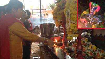 Goa: Devotees celebrate Nag Panchami, worship snake idols 