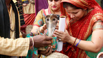 Devotees celebrate Nag Panchami in UP 