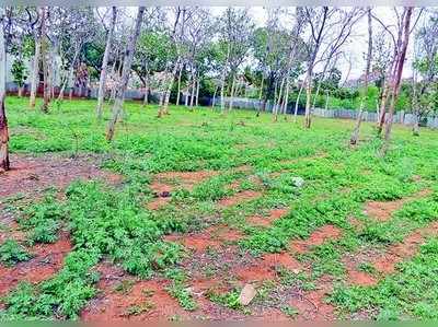 ಭೂದಾನ ತಿರಸ್ಕರಿಸುತ್ತಿದೆ ಇಲಾಖೆ!