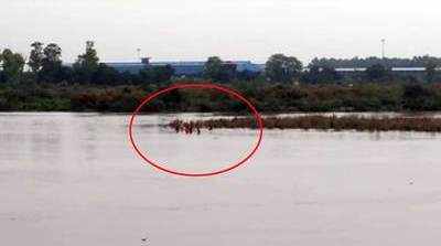 Youth jumps into Yamuna to commit suicide, divers save his life 