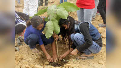 स्वतंत्रता दिवस पर बेटियों के नाम से लगेंगे पौधे