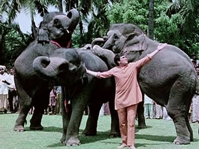 हाथी मेरे साथी (1971)