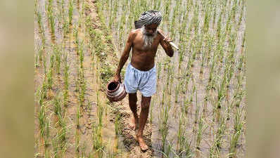 किसानों को मिलेगा 209 करोड़ रुपये मुआवजा