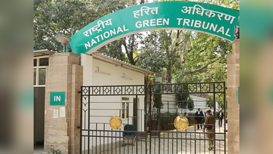 मक्खियों ने किया परेशान, NGT की शरण में गया 6 साल का बच्चा