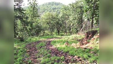 स्वतंत्रता दिवस पर गांधीगिरी के जरिये सरकार को संदेश देगा यह गांव, बनाएगा सड़क