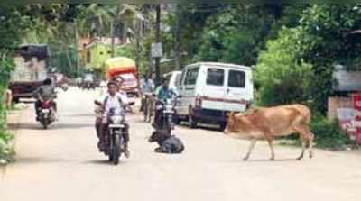 ರಸ್ತೆಗಿಳಿದರೆ ಭಯ..!