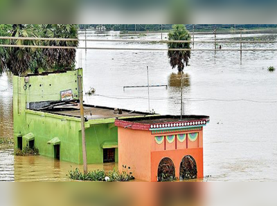 বন্যায় বঞ্চনা, রাজ্যের তোপে কেন্দ্র ও ডিভিসি