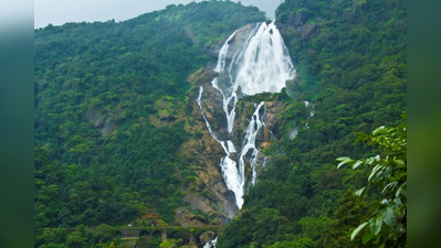 ಭಾರತದಲ್ಲಿ ನೋಡಬೇಕಾದ ಟಾಪ್‌ ಜಲಪಾತಗಳು