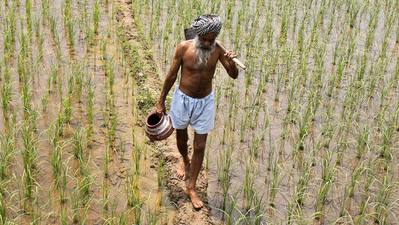 ಮೊಬೈಲ್‌ ಅಕೌಂಟ್‌ಗೆ ಬಂತು ಬೆಳೆ ಪರಿಹಾರ!