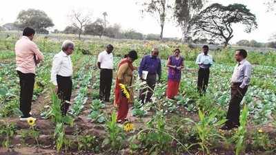 ಕೃಷಿ ಶಿಕ್ಷಣ