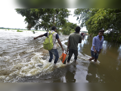 ಕಾಜಿರಂಗ ಉದ್ಯಾನವನ ಜಲಾವೃತ: ವಲಸೆ ಆರಂಭಿಸಿದ ಪ್ರಾಣಿಗಳು