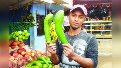 ಅಚ್ಚರಿ ಮೂಡಿಸಿದ ಸೋರೆಕಾಯಿ ಗಾತ್ರದ ಬಟರ್‌ಫ್ರೂಟ್‌