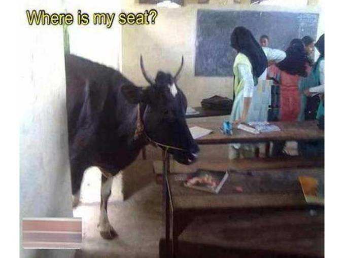मेरी सीट बताओ...