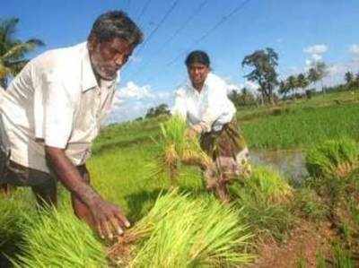 किसानों की आय को दोगुना करने के लिए और 6,339 अरब रुपये के निवेश की जरूरत