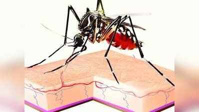 अब डेंगू में दिखी तेजी, बढ़ रहे हैं मरीज