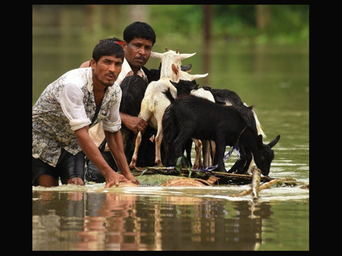 लोगों के सामने अपने जानवरों को बचाने की चुनौती भी है