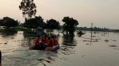 বন্যাকবলিত ইটাহারের পরিস্থিতি ভয়াবহ, বাঁধ ভেঙে প্লাবিত বহু গ্রাম