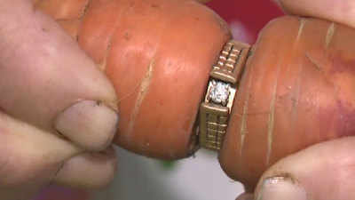 Lost engagement ring found wrapped around carrot 