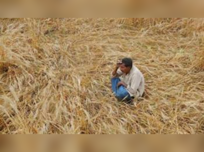 ৭ দিনে মারাঠাওয়াড়ায় আত্মঘাতী ৩৪ কৃষক, আট মাসে মৃত ৫৮০