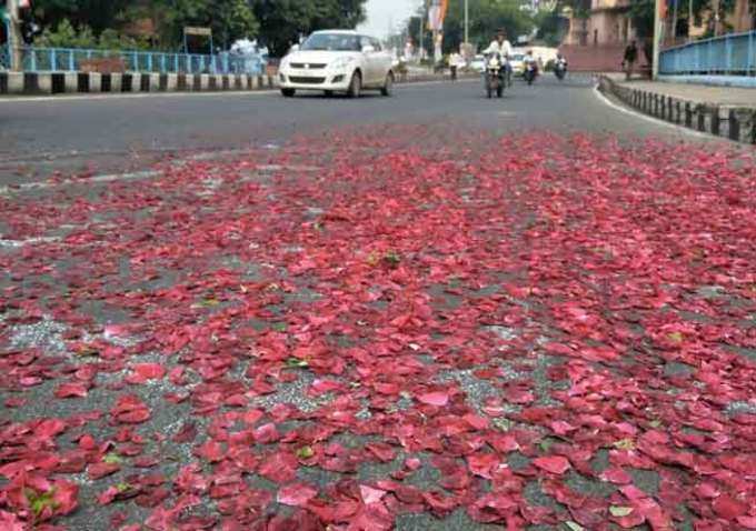 शाह के स्वागत में सड़कों पर फूल बिछाए गए।