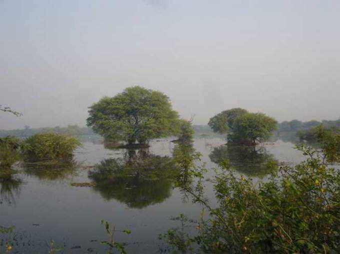 केवलादेव राष्ट्रीय उद्यान