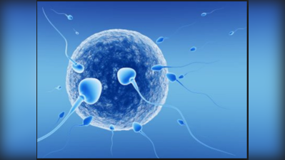 সংখ্যা ছাড়িয়েছে ২০ হাজার, তবে ICMR-এ নথিভুক্ত মাত্র ২০% IVF ক্লিনিক