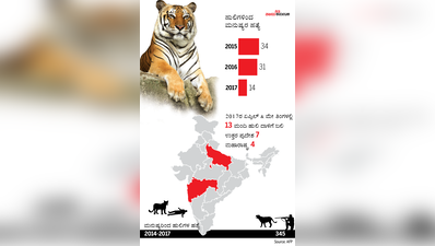 ವನ್ಯಜೀವಿ Vs ಮಾನವ