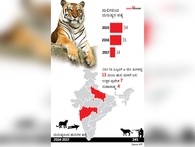 ವನ್ಯಜೀವಿ Vs ಮಾನವ