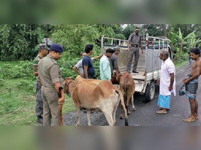 গোরুচোর সন্দেহে গণপ্রহারে মৃত দুই