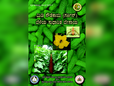 ಮಿಡಿ ಸೌತೆಕಾಯಿ (ಗರ್ಕಿನ್‌) ಬೆಳೆಯ ಸುಧಾರಿತ ಬೇಸಾಯ