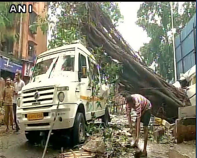 मुंबई के दादर में मिनी बस पर पेड़ गिरा, किसी के घायल होने की खबर नहीं
