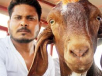 80 हजार रुपये में बिका बकरा मंडी का सुलतान