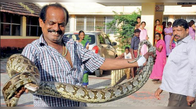 ಕಚ್ಚಿದ ಹೆಬ್ಬಾವಿನ ಜತೆ ಆಸ್ಪತ್ರೆಗೆ ಬಂದ ಜೋಸೆಫ್‌