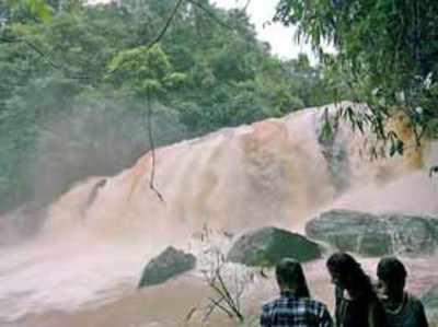 ಹಾಲ್ನೊರೆಯಂತೆ ಹರಿಯುತ್ತಿದೆ ಮೂಕನ ಮನೆ ಫಾಲ್ಸ್‌