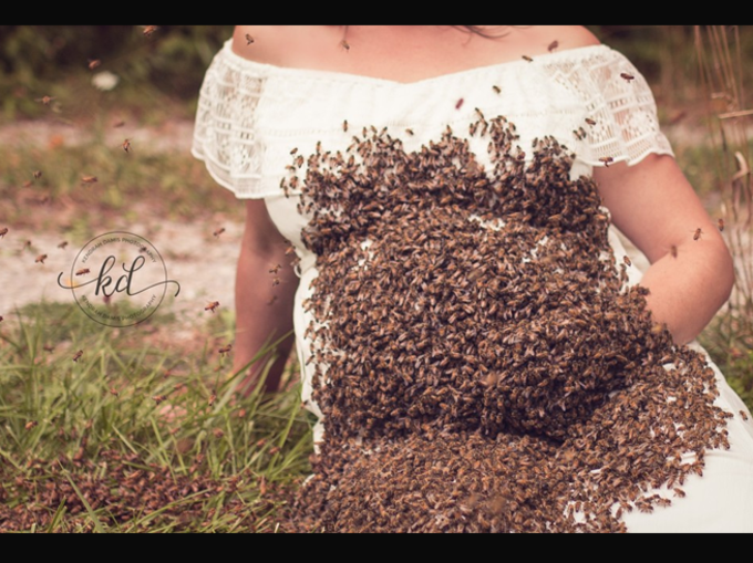मधुमक्खियों से है पुराना रिश्ता