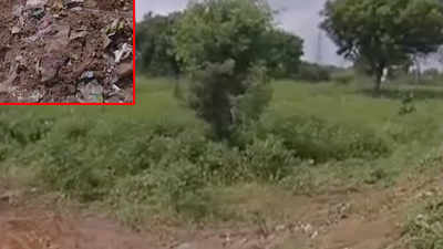 Left with no dumping site, waste piles up in East Delhi 