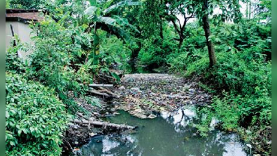 ৯ মৃত্যুতেও হুঁশ নেই মধুগড় ও পূর্ব সিঁথির