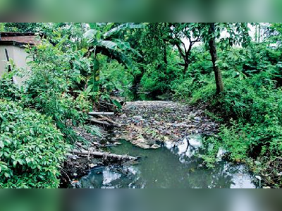 ৯ মৃত্যুতেও হুঁশ নেই মধুগড় ও পূর্ব সিঁথির